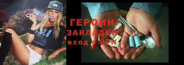 индика Михайловск