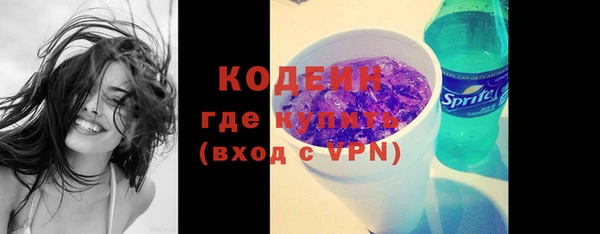 индика Михайловск