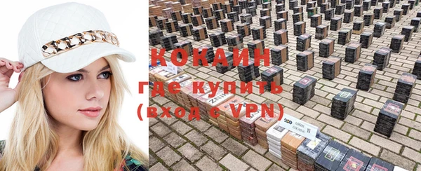 индика Михайловск