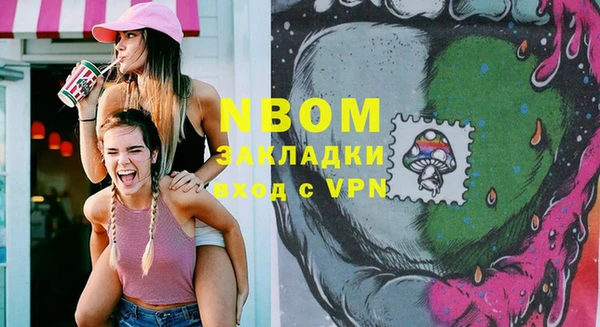 индика Михайловск