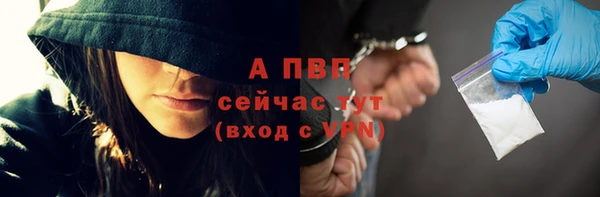 индика Михайловск