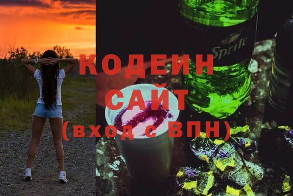 индика Михайловск