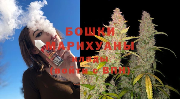 индика Михайловск