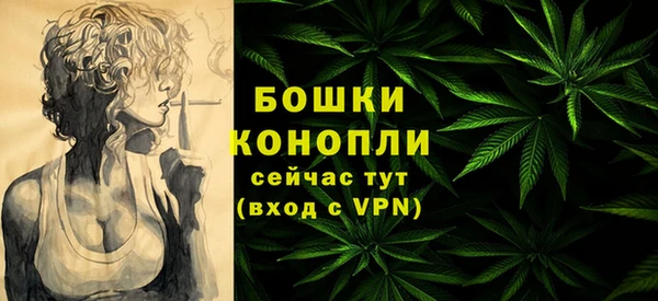 индика Михайловск