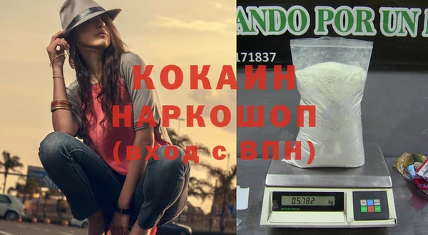 индика Михайловск