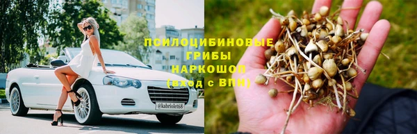 индика Михайловск