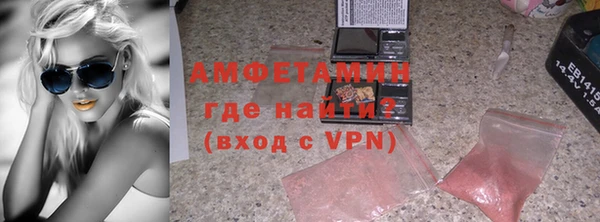 индика Михайловск