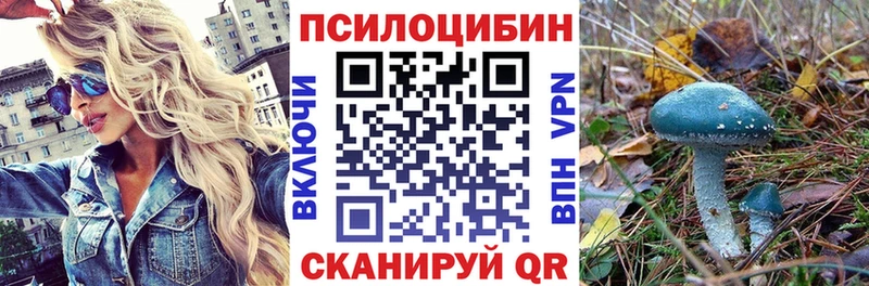 OMG ссылки  Вытегра  Псилоцибиновые грибы Magic Shrooms 