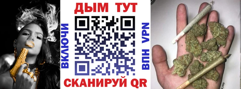 закладки  darknet Telegram  Каннабис индика  Вытегра 